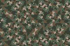 appdingo bgs