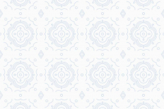 appdingo bgs