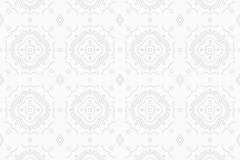 appdingo bgs