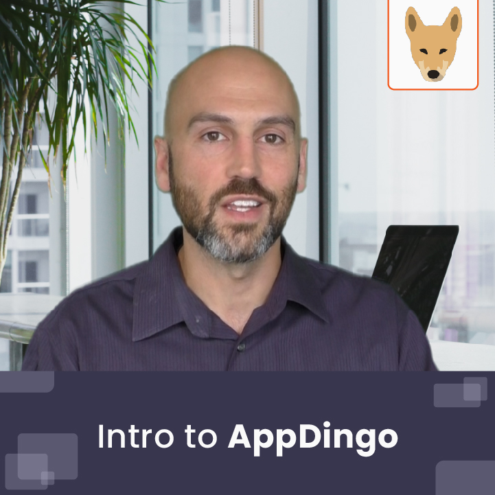 Intro to AppDingo