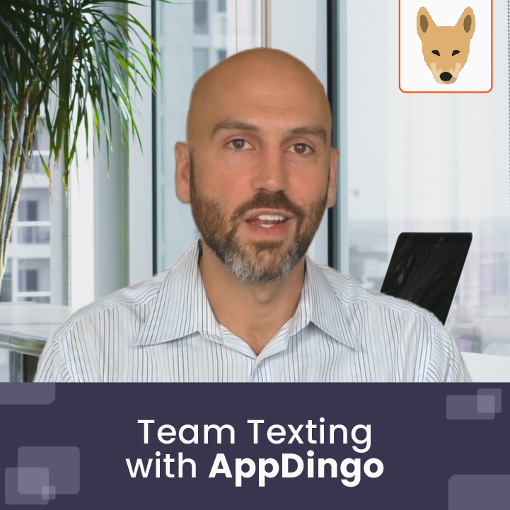 Team Texting with AppDingo